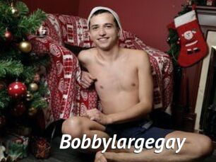 Bobbylargegay