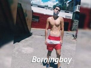 Borningboy