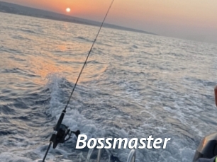 bossmaster Gay Vod