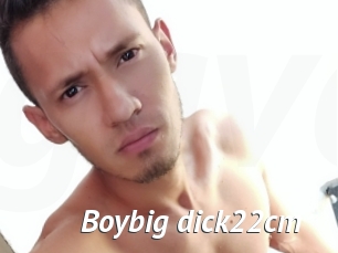 Boybig_dick22cm