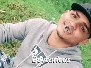 Boycurious