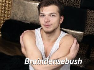 Braindensebush
