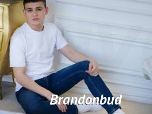 Brandonbud