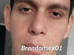Brandonsex01