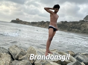 Brandonsgil