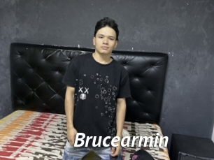 Brucearmin