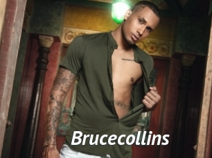 Brucecollins