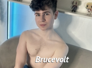 Brucevolt