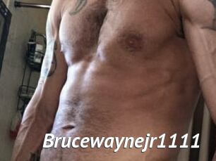 Brucewaynejr1111