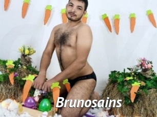 Brunosains