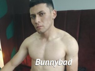 bunnybad Gay Vod