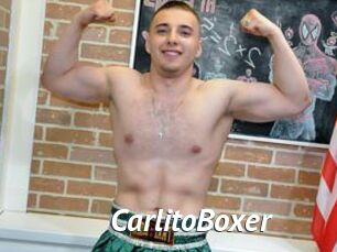 CarlitoBoxer