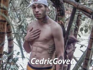 CedricGovea