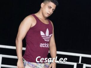 CesarLee Gay Vod