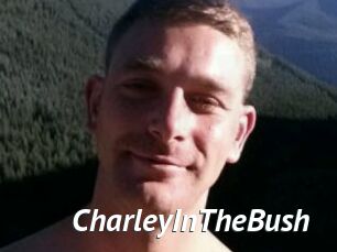 CharleyInTheBush