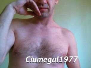 Ciumegul1977