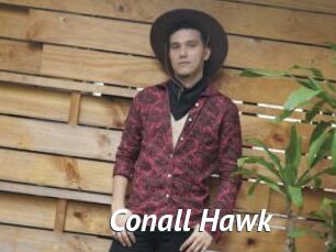 Conall_Hawk