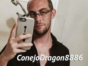 ConejoDragon8886