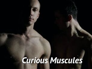 Curious_Muscules