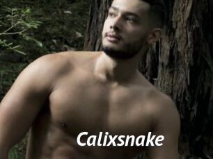 Calixsnake