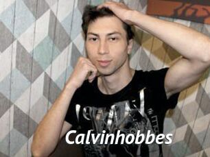 Calvinhobbes