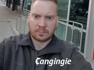 Cangingie