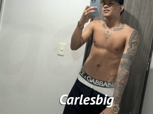 carlesbig Gay Vod
