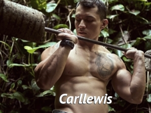 Carllewis