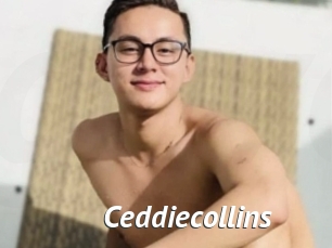 Ceddiecollins