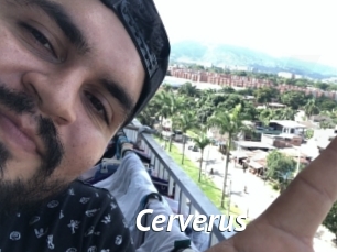 Cerverus