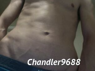 Chandler9688