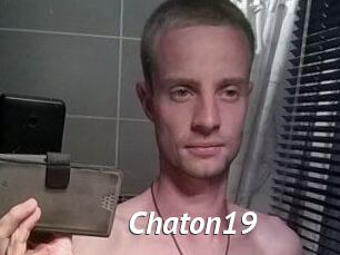 Chaton19