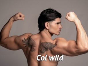 col_wild Gay Vod