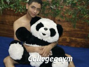 Collegegaym
