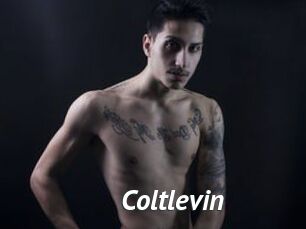 Coltlevin