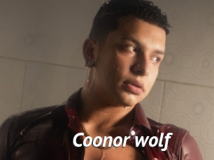 Coonor_wolf