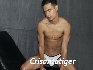 Crisantotiger