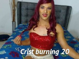 Crist_burning_20