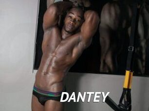 DANTE_Y