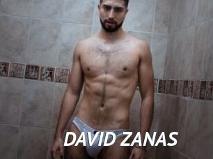 DAVID_ZANAS