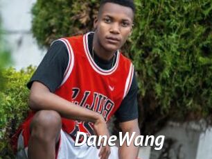 DaneWang