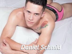 Daniel_Schmid