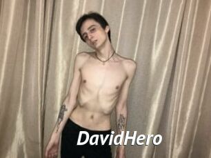 DavidHero