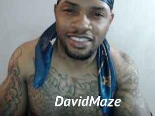 David_Maze
