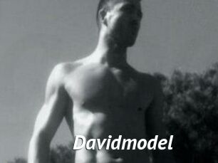 Davidmodel