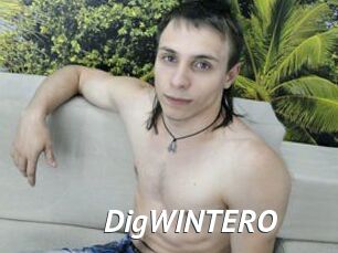 DigWINTERO