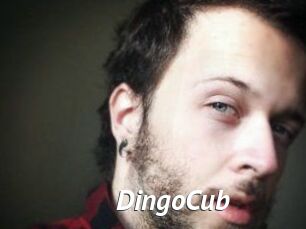 DingoCub