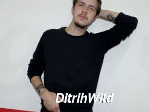 DitrihWild