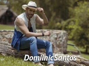 DomiinicSantos