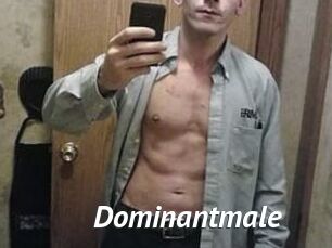 Dominantmale